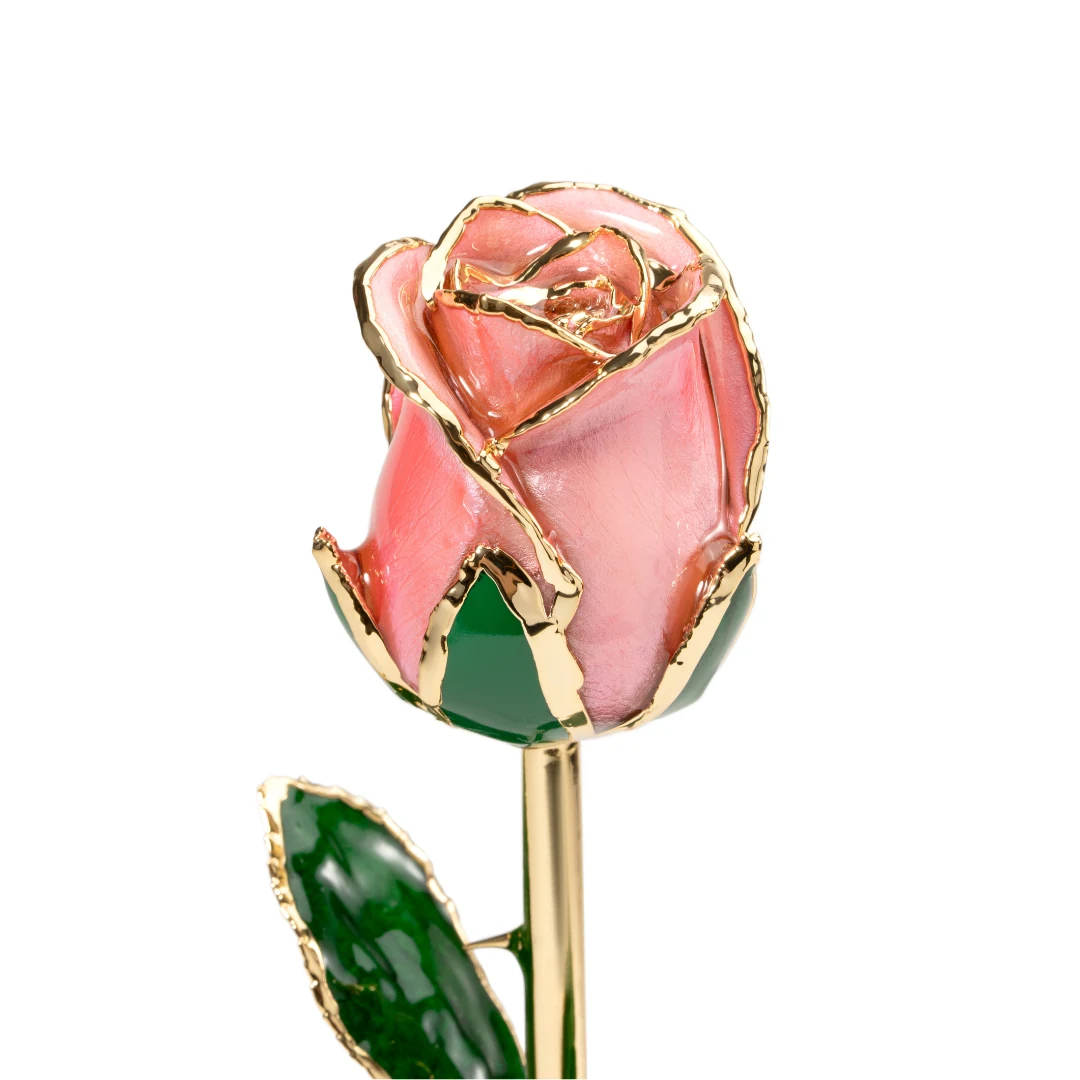 Pétales roses aux délicats contours dorés