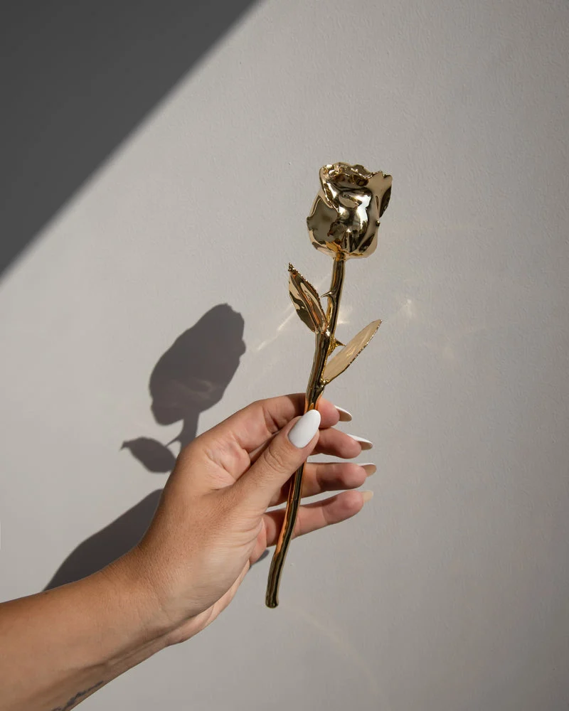 Pour un anniversaire ou juste pour faire plaisir, une rose à garder rend le geste encore plus précieux.